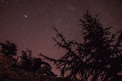 Low angle view of trees against sky at night