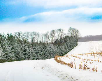 Snow covered field against sky