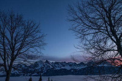 Bare trees on snow covered mountain against sky