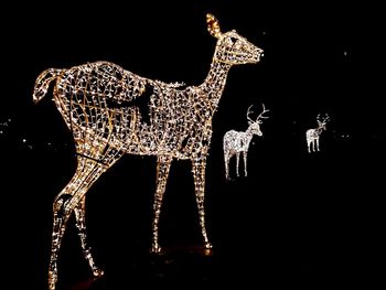 View of illuminated christmas lights at night