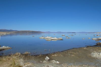 Scenic view of beach against clear blue sky