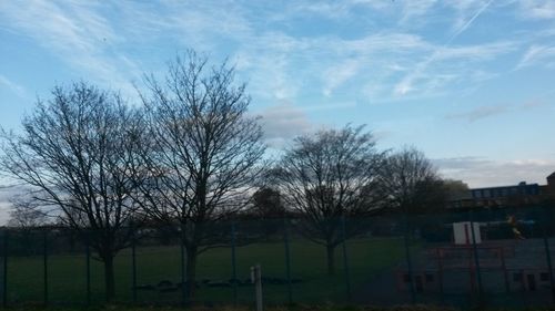 Bare trees on field against cloudy sky