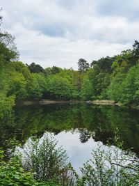 Scenic view of lake by trees against sky