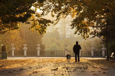 Rear view of man with dog standing in park