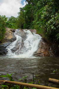 Scenic view of waterfall in forest