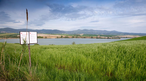 Scenic view of field by lake against sky