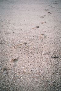 High angle view of footprints on sand