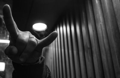 Cropped image of person showing horn sign at nightclub