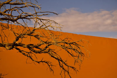 Red hot sand dunes, namibia