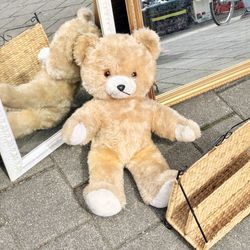 High angle view of dog toys toy