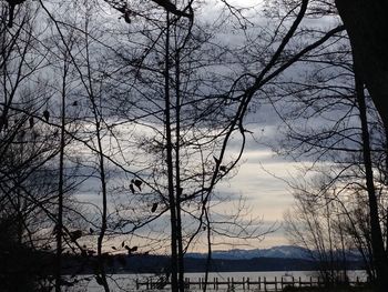 Bare trees by lake against sky