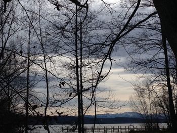 Bare trees by lake against sky