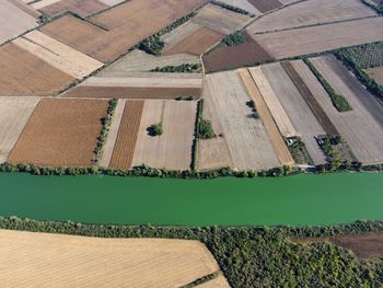 High angle view of agricultural field