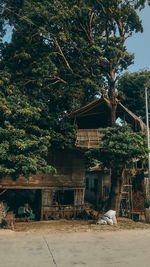 Built structure against trees