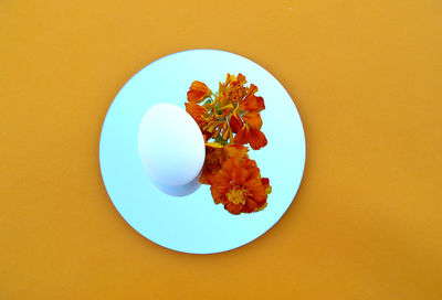 Close-up of egg and flowers on mirror plate against color background