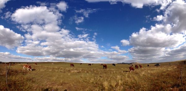 Scenic view of field against cloudy sky