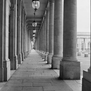 Paris columns 
