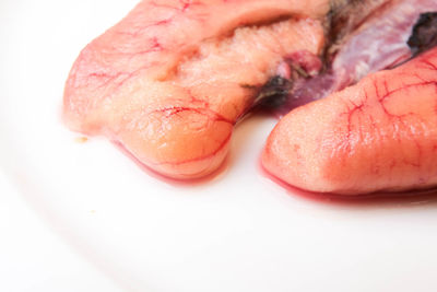 Close-up of hand holding ice cream over white background