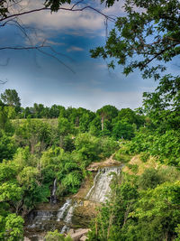 Scenic view of forest against sky