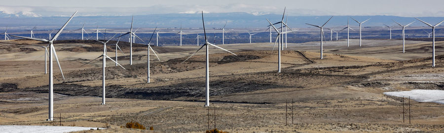 Wind turbines in a field with clear sky