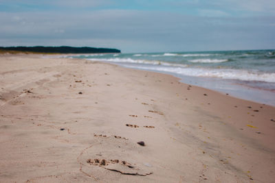 Scenic view of beach against sky