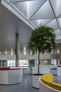 Interior of modern building