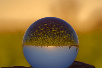 Close-up of crystal ball