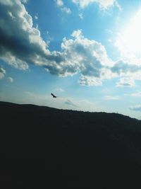 Silhouette of birds flying over landscape