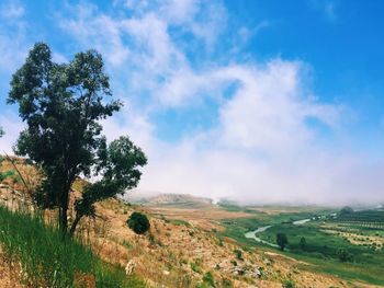 Scenic view of agricultural field against blue sky