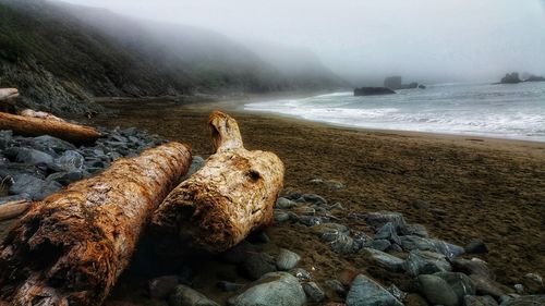 Scenic view of moody fog over sea and beach driftwood logs against sky