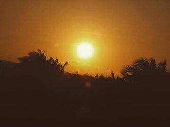 Silhouette of trees at sunset