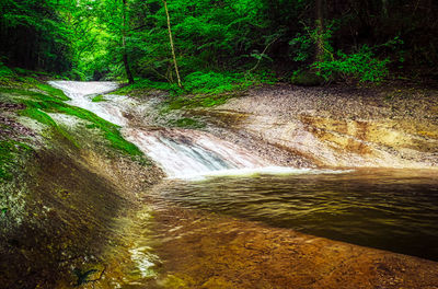 Scenic view of waterfall in forest