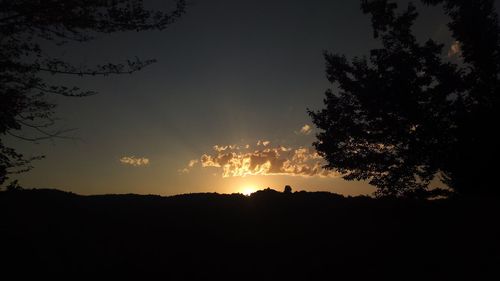 Low angle view of silhouette trees against sky during sunset