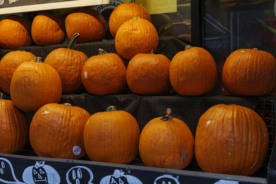 Decorative orange pumpkins on display at the market. harvesting, halloween and thanksgiving concept.