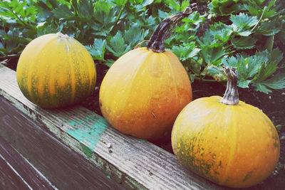 Close-up of pumpkins on table