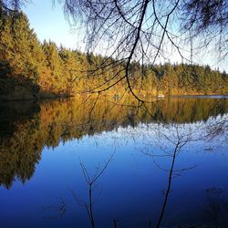 Reflection of bare trees in lake against sky