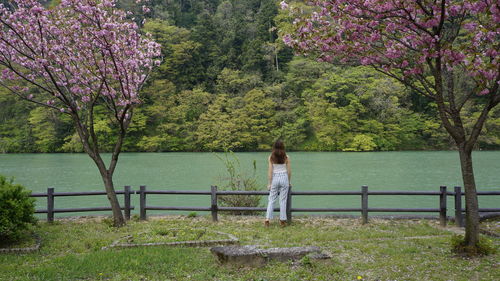 Rear view of woman looking at trees