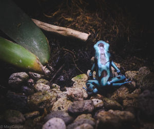 High angle view of stuffed toy on rock