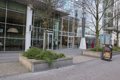 Potted plants on sidewalk by building