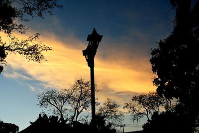 Silhouette of trees during sunset