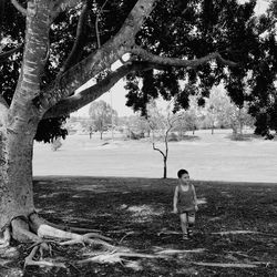 Boy standing by tree on field
