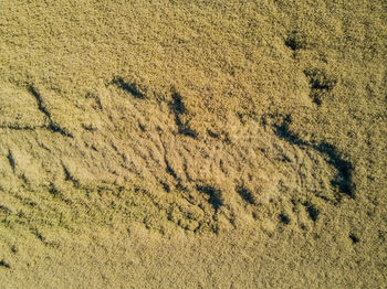 High angle view of green landscape