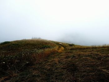 Scenic view of landscape against sky