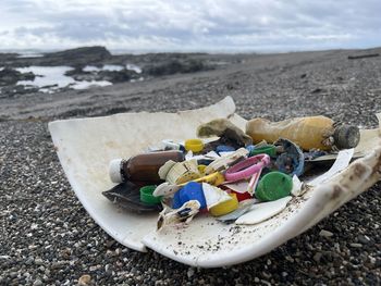 Close-up of food on beach