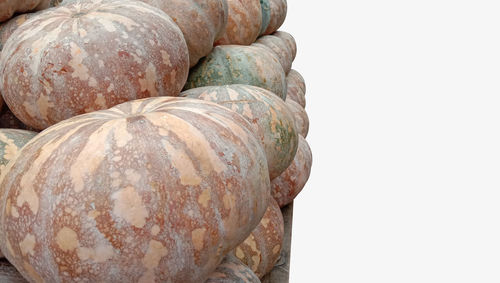 Close-up of pumpkin against white background