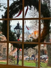 Trees seen through window