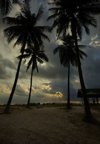 Palm trees on beach against dramatic sky