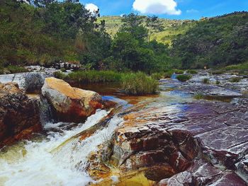 Scenic view of river in forest against sky