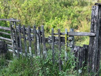 Close-up of wooden post on field