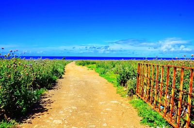 Scenic view of beach against blue sky